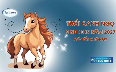 Tuổi Canh Ngọ sinh con năm 2027 có tốt không theo phong thủy?